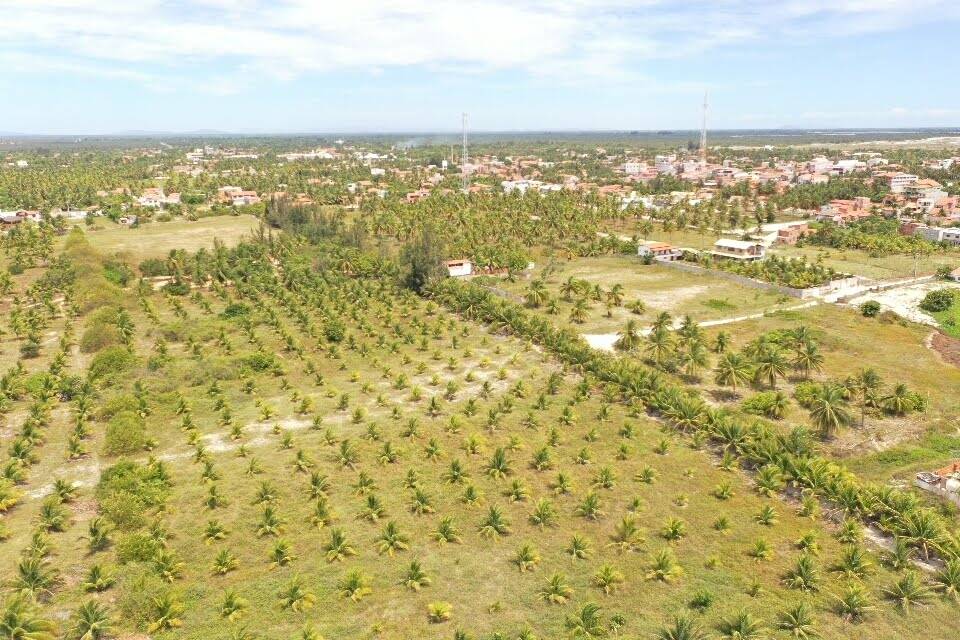 Terreno à venda, 600m² - Foto 5