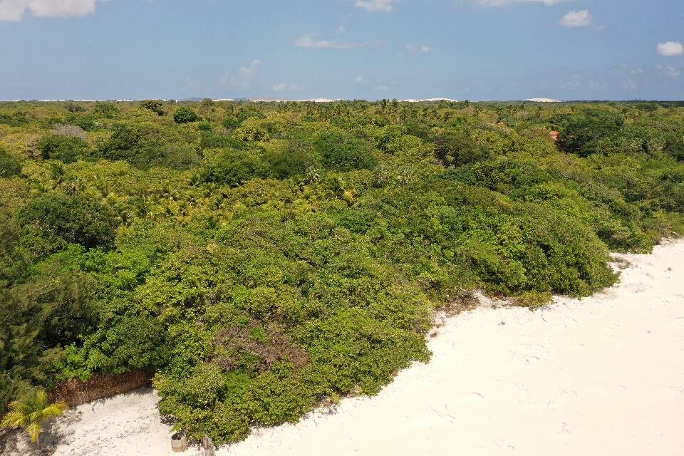 Terreno à venda, 1000m² - Foto 30