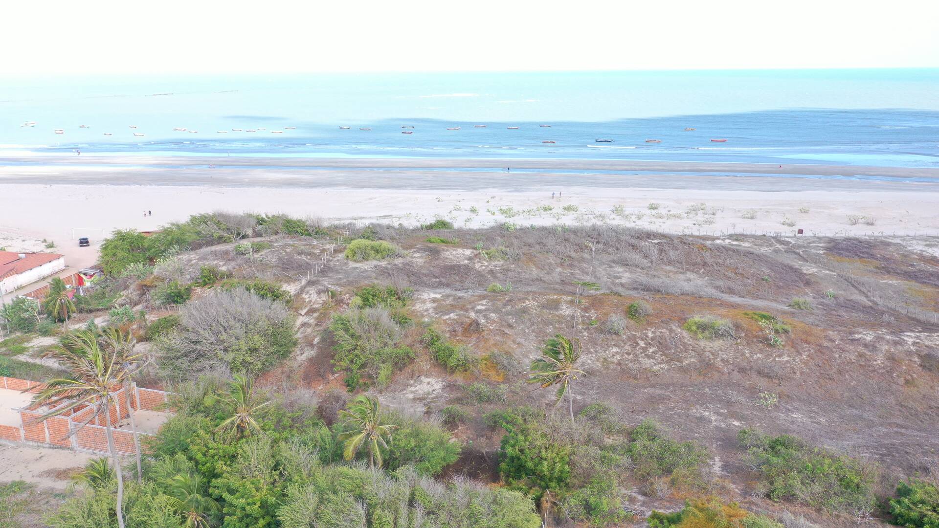 Terreno à venda, 3000m² - Foto 3