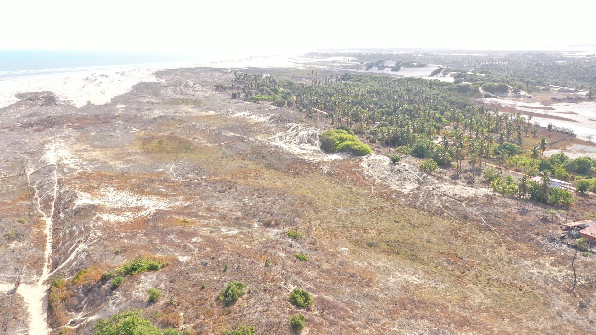 Terreno à venda, 3000m² - Foto 8