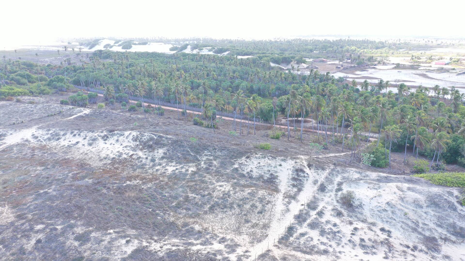 Terreno à venda, 3000m² - Foto 31