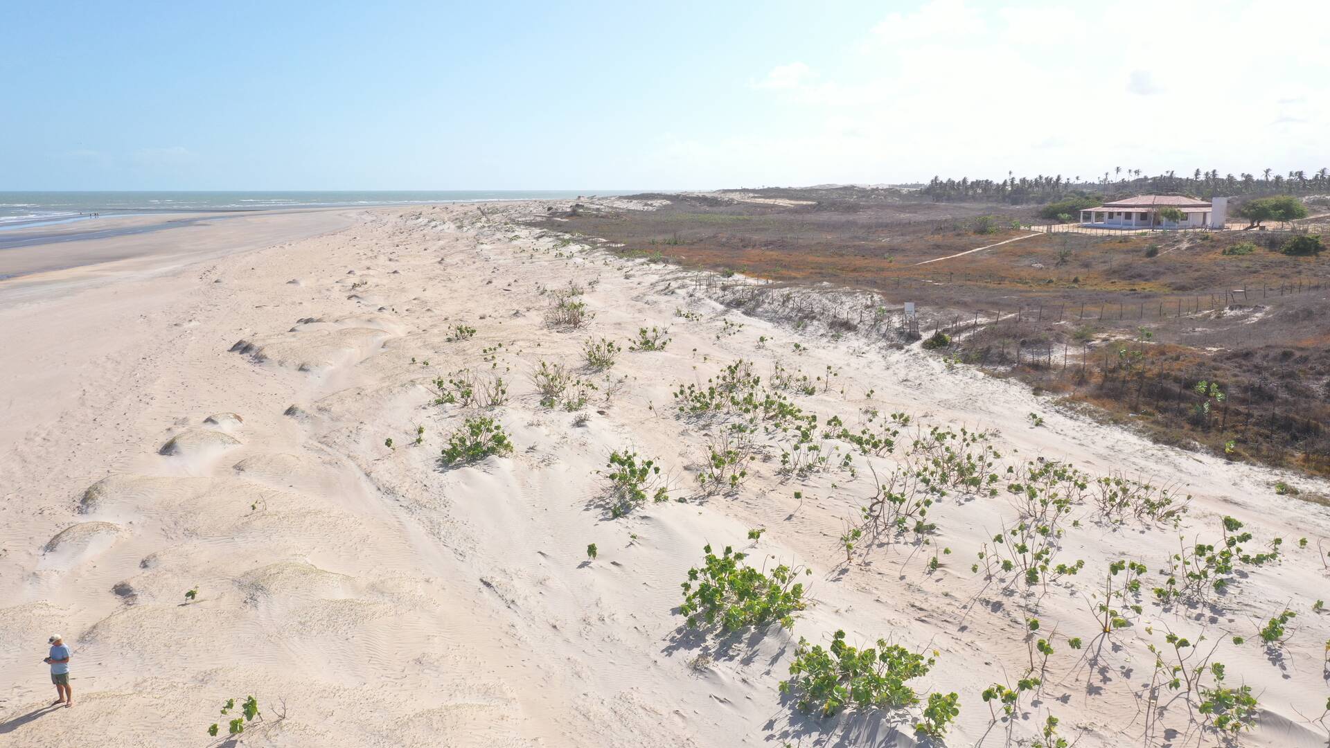 Terreno à venda, 6000m² - Foto 36