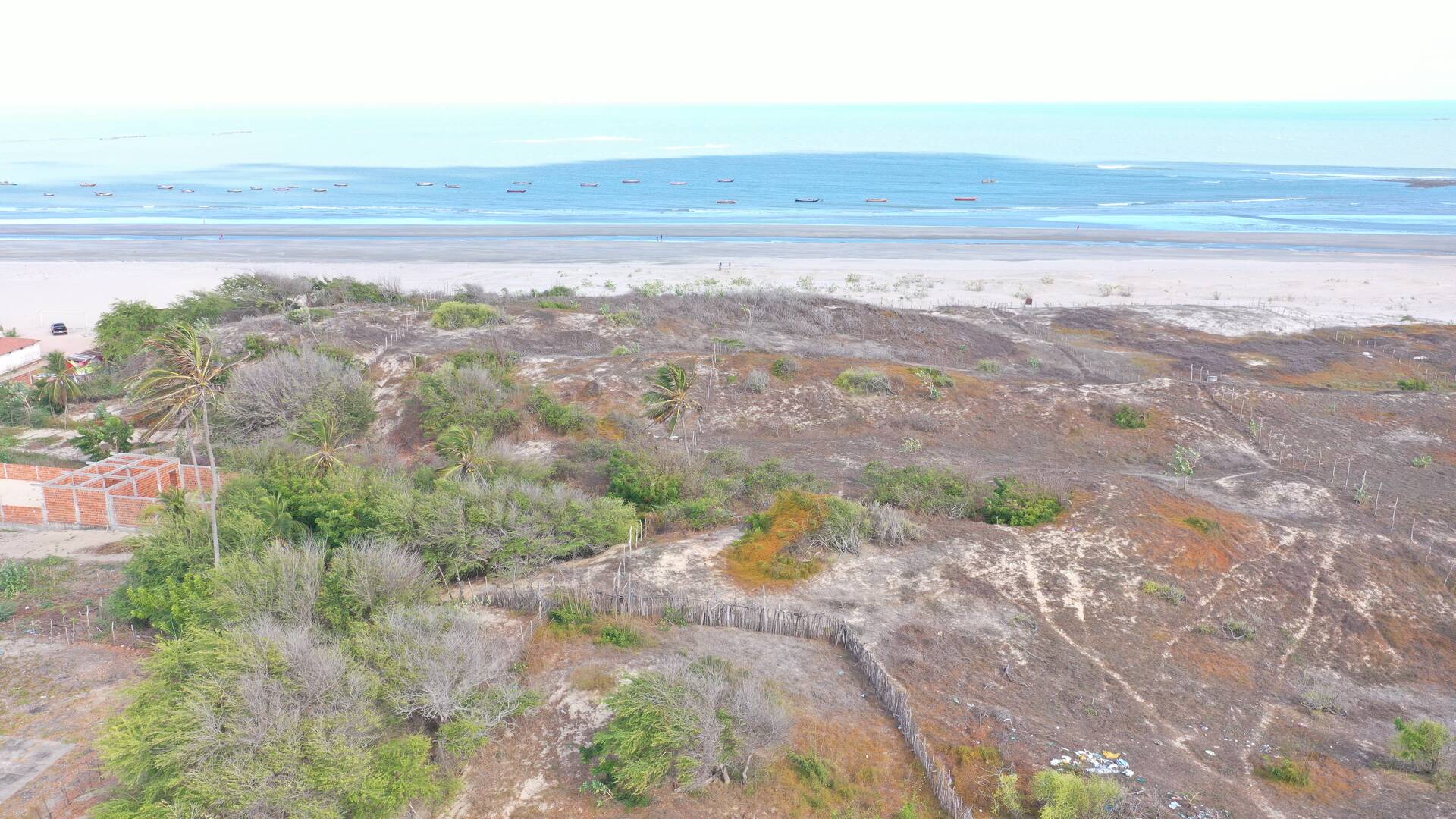 Terreno à venda, 20000m² - Foto 6