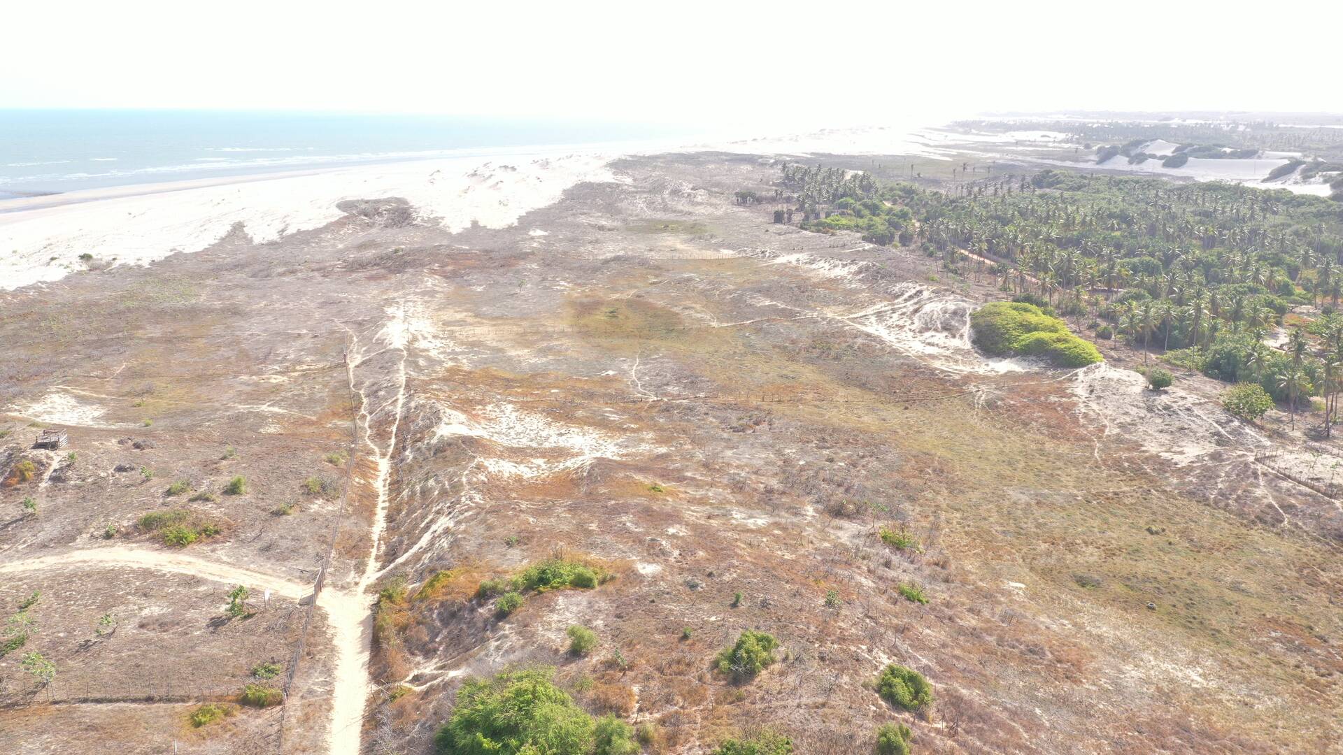 Terreno à venda, 20000m² - Foto 2