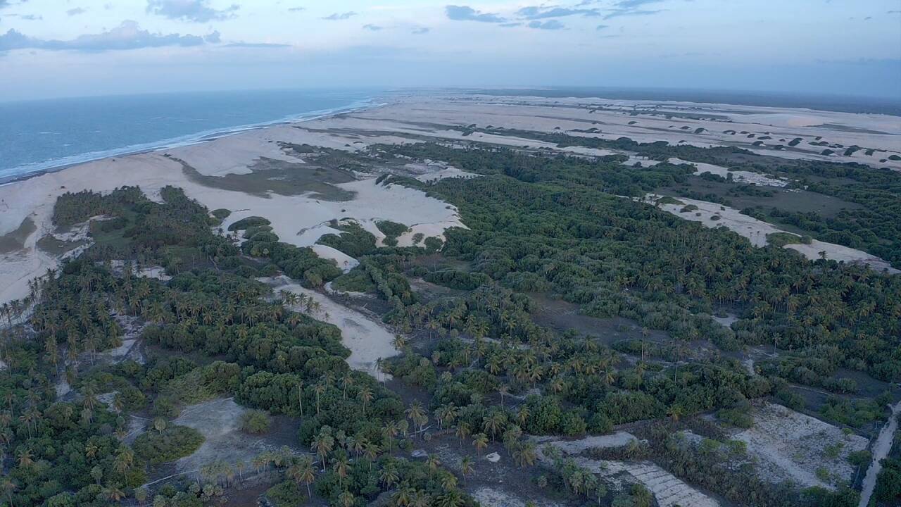 Terreno à venda, 3000m² - Foto 26