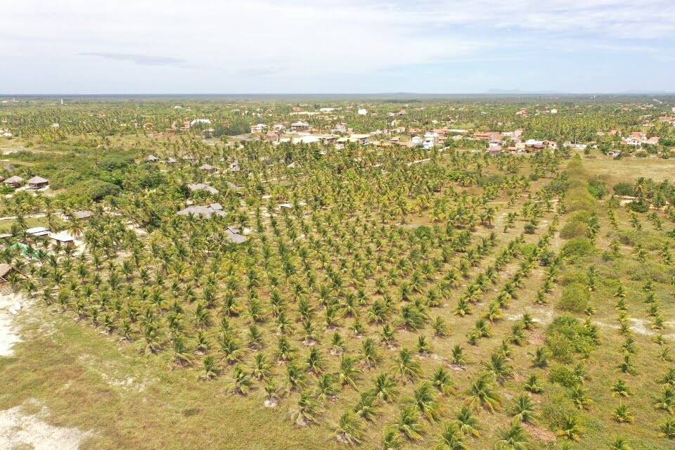 Terreno à venda, 4700m² - Foto 6