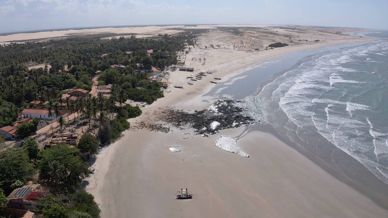 Terreno à venda, 10000m² - Foto 39