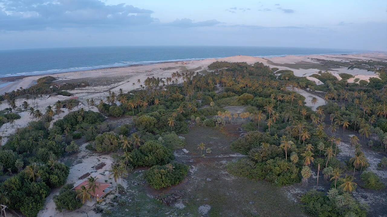 Terreno à venda, 10000m² - Foto 6