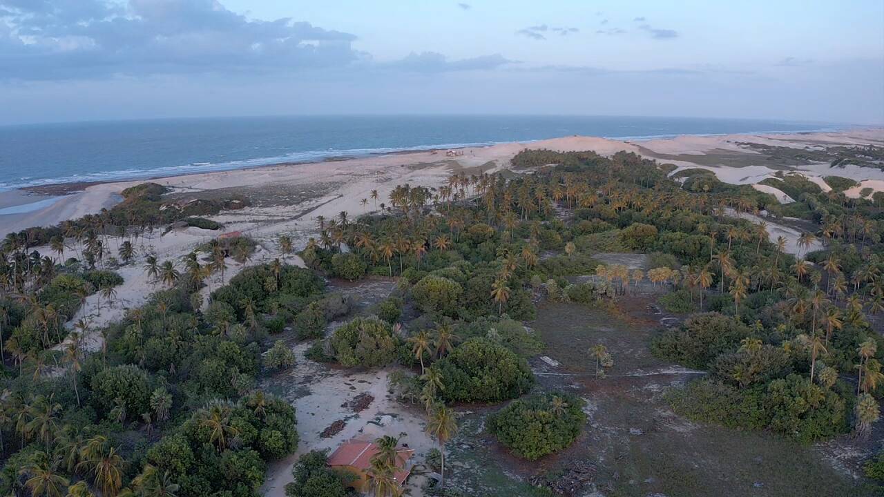 Terreno à venda, 10000m² - Foto 5