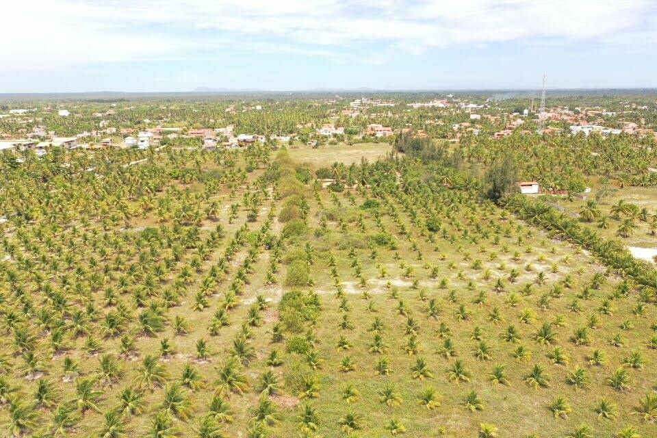 Terreno à venda, 2500m² - Foto 6