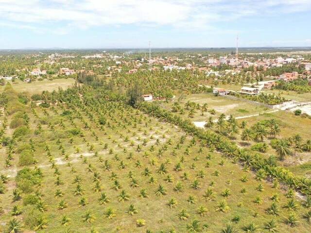 Terreno para Venda em Cruz - 4