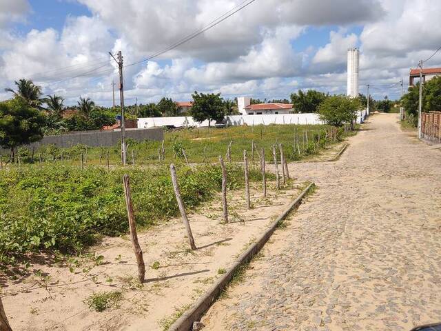 Terreno para Venda em Amontada - 5